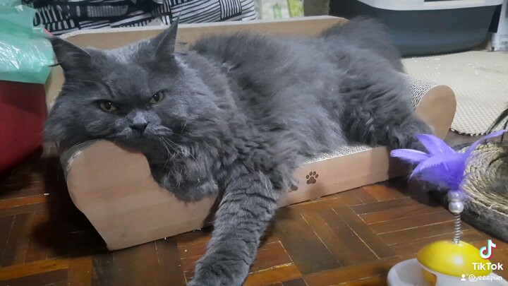 ถุงเงินเองค้าบบบ😘