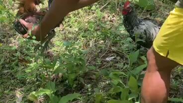 naglalaban na, iba tlga pag puro babae ang kinakasama sa Araw Araw🤣.