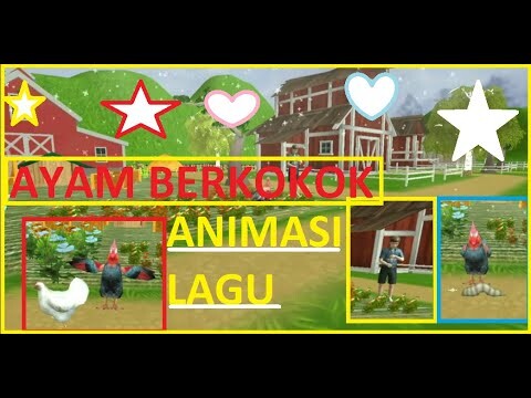 ayam berkokok menari bermain seru lagu anak populer