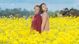 Canola