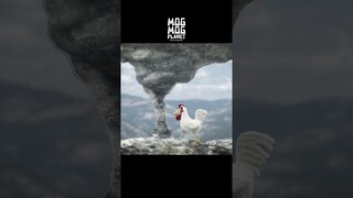 Pig ＆ Chicken - MOGMOG PLANET Observation Diary | It's Anime #shorts #anime #animals