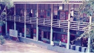 เรากับเพื่อนใต้ต้นกันเกราในรั้วเทา-ชมพู