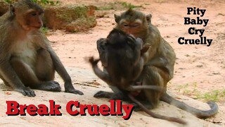 Break Cruelly, Monkey Very Cruel Beat Baby Cry Scary, Pity Baby Monkey Cry Very Loudly