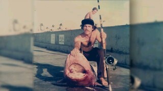 🔥The most powerful horror South Beach Shark Club Watch it in full via this link in description.🔥🔥