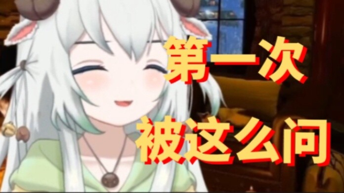 What questions make Xiao V speechless and ask the other party whether he is an adult?