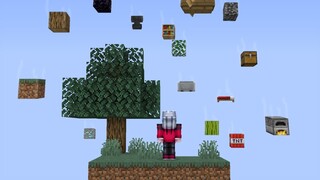 เมื่อบล็อก!! ตกลงมาจากฟ้า  | Minecraft