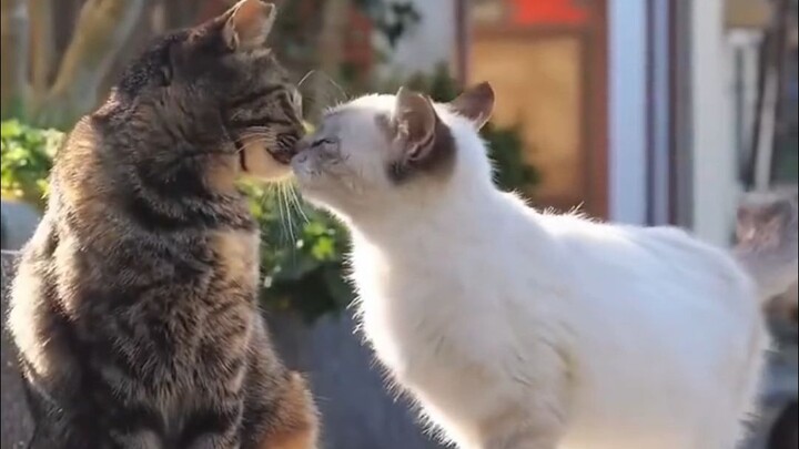 We’re the best of friends in the world.
