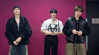 هان بين هذا الشا حقًا جميل جدًا، لقد أحببته بشدة!