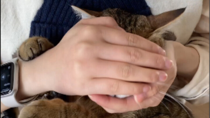 Thanks! I’m dancing the Carnivorous Plant Dance… (The calico cat is mad: Do you really have to do th