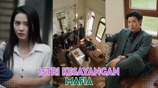 sang Mafia ingin menikahi paksa perawat cantik - Istri Kesayangan Mafia