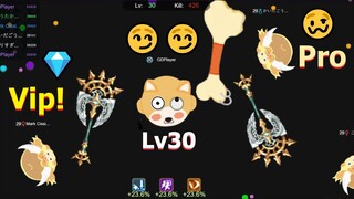 Weapon.io - [Tập Đặc Biệt] : Triệu Hồi Thành Công XIAOCHAIQUAN LEVEL 30 "Pro" Nhất Game!