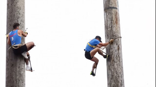 国际伐木工锦标赛，爬树半分钟，摔下5秒钟#极限运动 #伐木工人世锦赛 #伐木工 #危险动作请勿模仿