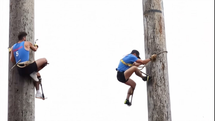 国际伐木工锦标赛，爬树半分钟，摔下5秒钟#极限运动 #伐木工人世锦赛 #伐木工 #危险动作请勿模仿