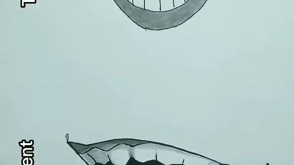 the one who watched anime              ib: