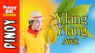 Ylang-Ylang Song (Ilang-Ilang Folk Song) | Pinoy BK Channel🇵🇭 | TAGALOG SONGS