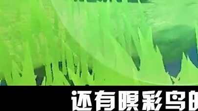 MiHoYo: Traveler~ Come and test your eyesight~