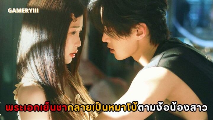 น้องสาวแอบรักพี่ชายคนโปรดตามจีบสารพัดพระเอกเย็นชาใจแข็งดั่งหิน สุดท้ายเป็นหมาโบ้ตามง้อน้องสาว🦮