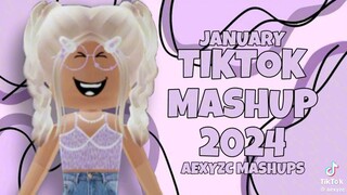 Tiktok mashup"2024 for you