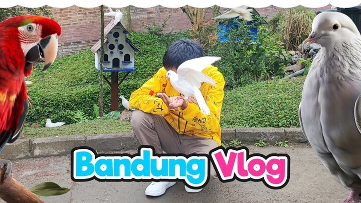 Akhirnya Wardu ke Bandung! | Wardu Vlog
