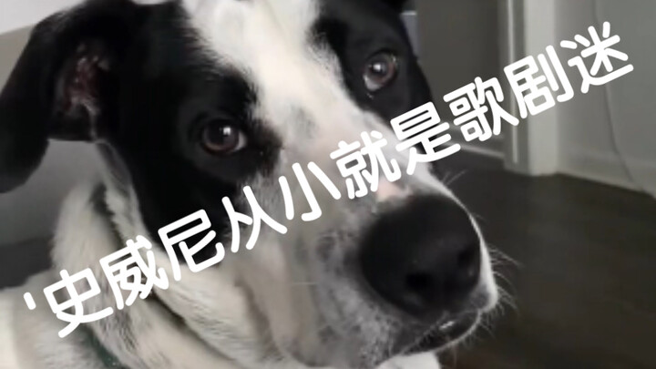 Sweeney has been an opera fan since childhood. Watch till the end!