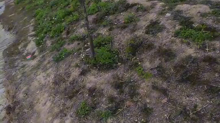 Câu cá, cứu đứa trẻ