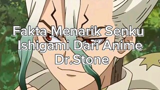 Fakta Menarik Senku Ishigami Dari Anime Dr. Stone