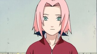 Spesial untuk Sakura! Xiao Li, ini bungamu.