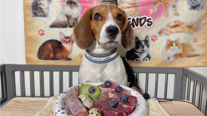 【Chó Beagle Rwanda】Uống đi!