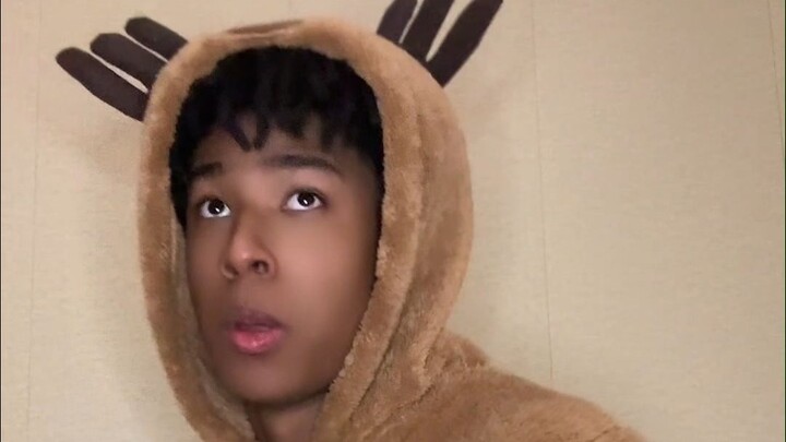 Brown alpaca caught wearing clothes