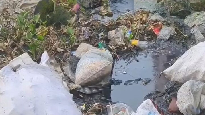 মানুষ কতটা নিচে নামতে পারে তাই ভিডিও দেখলে বুঝতে পারবেন