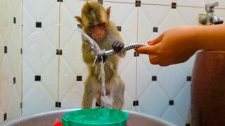 Routine Bathing!! How happy she is when little adorable playing with water before taking a bath