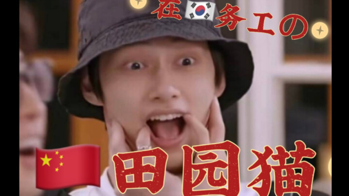 【Văn Tuấn Huy】Định vị chính xác người Trung Quốc trong các nhóm nhạc K‑pop (mèo)