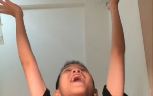 🪳蟑螂会飞🪳