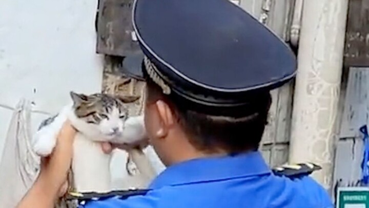 早晨啊！修猫修狗~