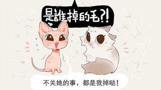 反差萌cp【无毛猫x布偶猫】“不关她的事，都是我掉的毛！”