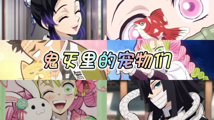 义勇桑怎么还被狗咬过屁股啊～