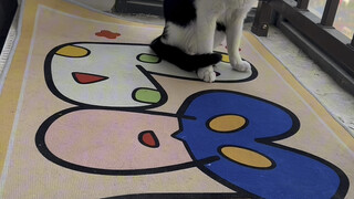 Does this seem abnormal?...