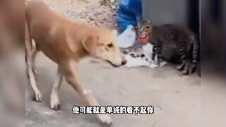 你看看像不像就完事了