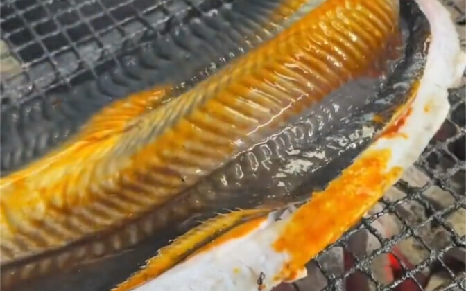 Grilled eel — I’m hungry after work, just grabbing a quick bite.