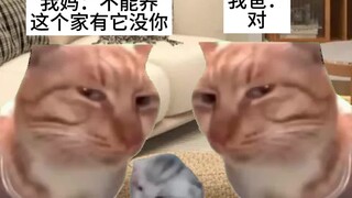 骗子...我妈说讨厌养猫都是假的