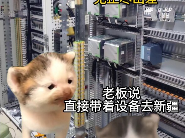Attack the electrical engineer's weakest point.