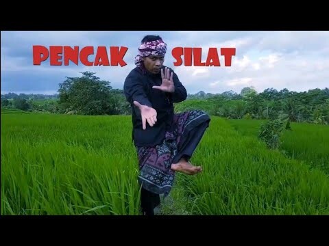 PENCAK SILAT KERTHA WISESA BALI 2020 /IQ8 CAHANELL