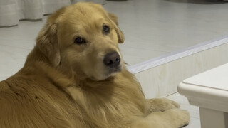 Awalnya tidak percaya... tapi kemudian diberi terlalu banyak