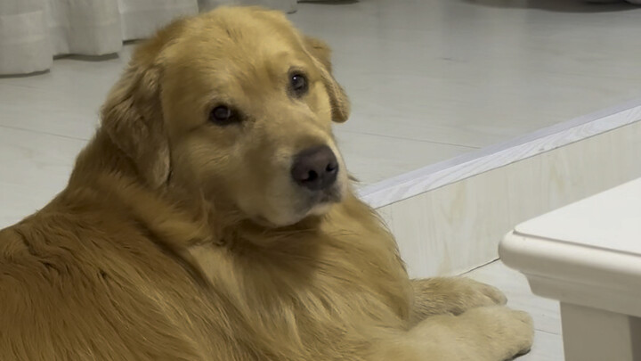 في البداية لم أصدق... لكن بعد ذلك أعطوني الكثير جداً