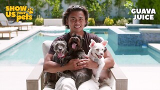 Guava Juice's Amazing Rescue Dogs | Show Us Your Pets