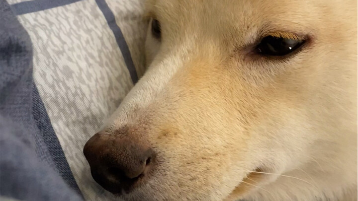 It’s freezing out—no doubt you’ve all stocked up on warming pads, right?