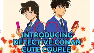 BEST COUPLE IN DETECTIVE CONAN 😎