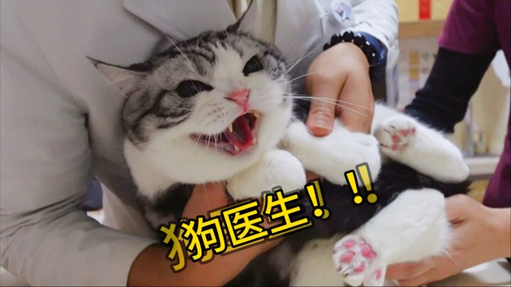 猫：所有人都可以抱！除了嘎蛋医生！他坏！！！