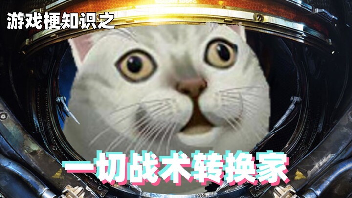游戏梗知识：一切战术转换家