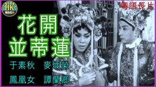 《粵語長片》บัวบานเคียงคู่ 花開並蒂蓮 (1963)|于素秋|麥炳榮|鳳凰女|譚蘭卿|導演:珠璣 _ 香港電影 _ 香港粵語電影 _ 粵語